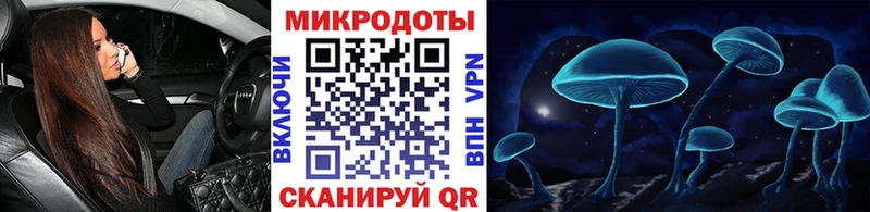 Галлюциногенные грибы Psilocybe  Нестеров 