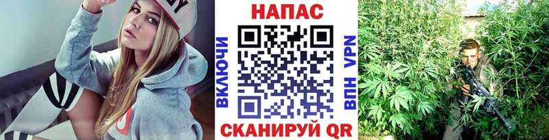купить наркотики сайты  гидра tor  Бошки марихуана LSD WEED  Нестеров 